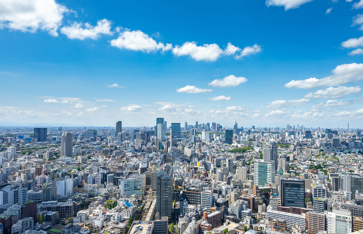 企業情報