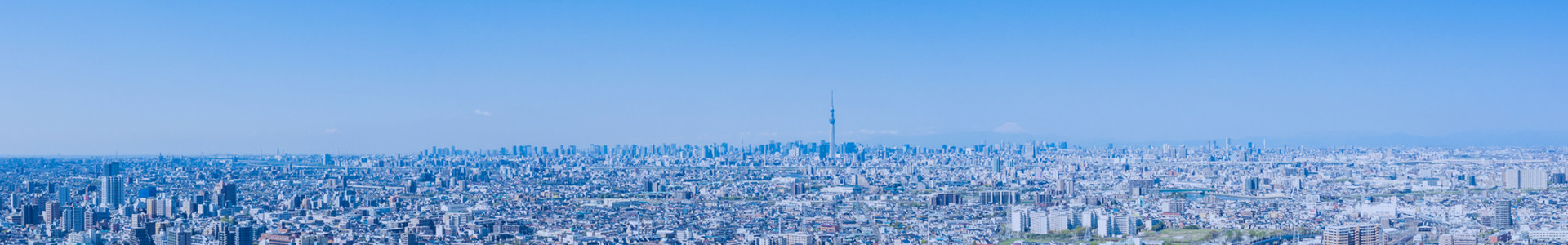 下層ページタイトルヘッダー